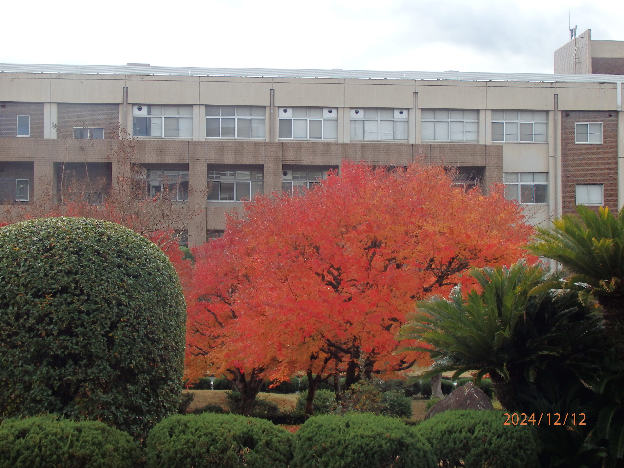 画像：令和6年12月5日(木)、山口大学DX教育研究会『心理学からみた「ひと」と「まち」の豊かさをもたらすウェルビーイング』を開催しました